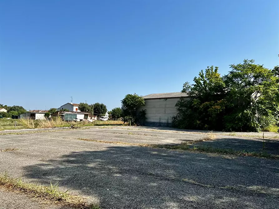 Immagine 4 di Attività commerciale in vendita  in via bassa 225 a Argenta