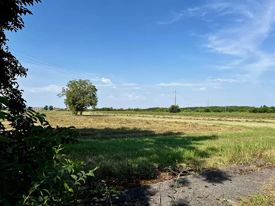 Immagine 9 di Attività commerciale in vendita  in via bassa 225 a Argenta