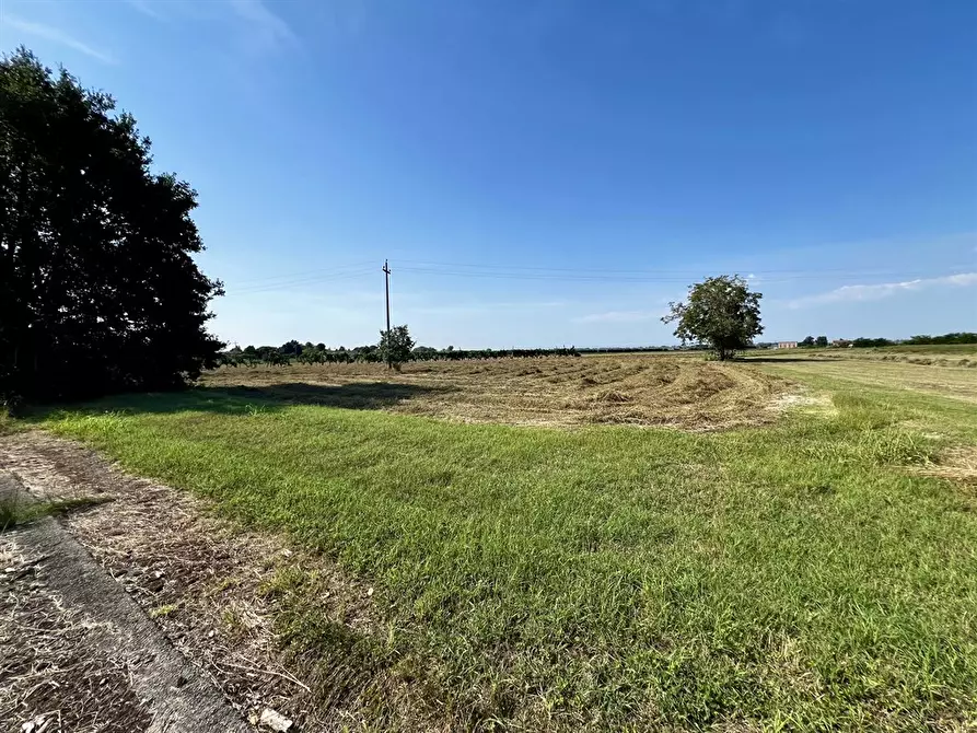 Immagine 7 di Attività commerciale in vendita  in via bassa 225 a Argenta
