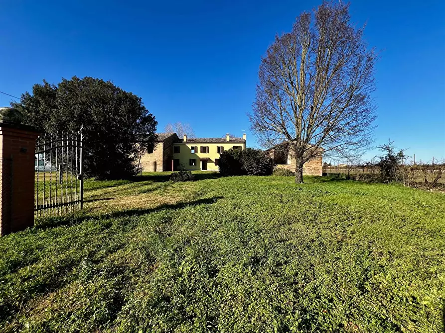 Immagine 5 di Casa indipendente in vendita  in via valeria 74 a Alfonsine