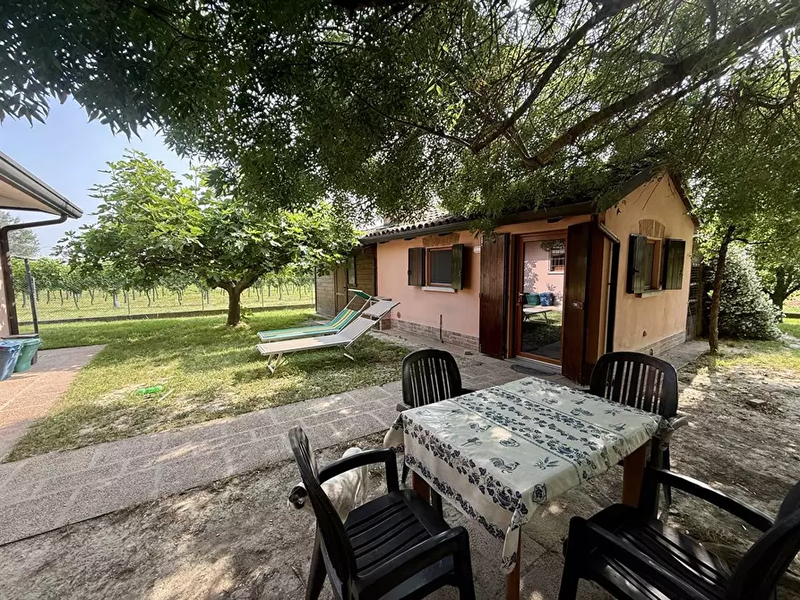 Immagine 3 di Casa indipendente in vendita  in carraia zorli 11 a Bagnacavallo