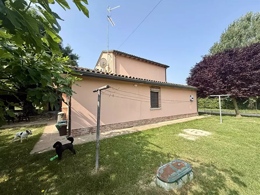 Immagine 9 di Casa indipendente in vendita  in carraia zorli 11 a Bagnacavallo