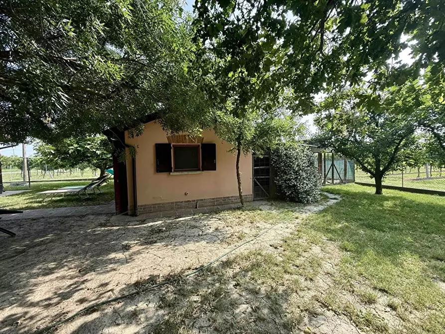 Immagine 2 di Casa indipendente in vendita  in carraia zorli 11 a Bagnacavallo