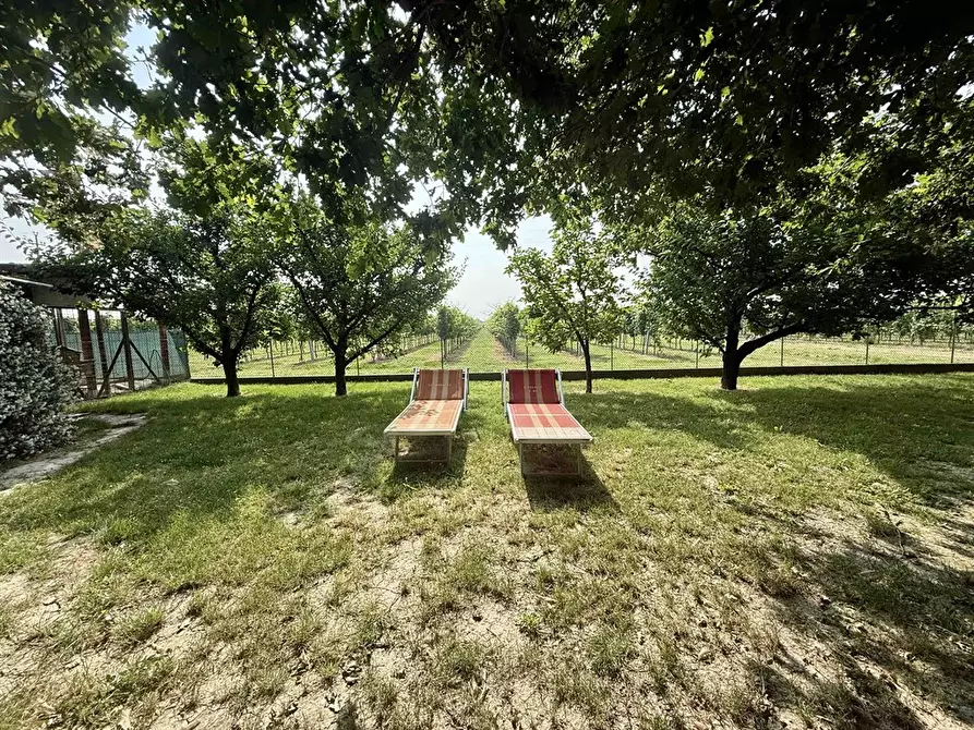 Immagine 1 di Casa indipendente in vendita  in carraia zorli 11 a Bagnacavallo