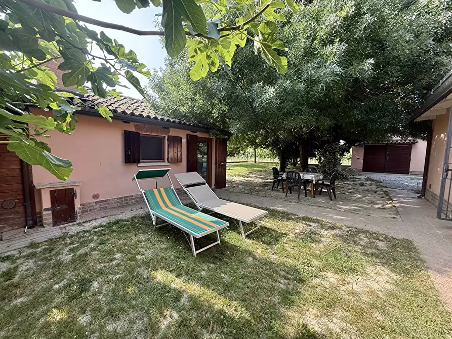 Immagine 4 di Casa indipendente in vendita  in carraia zorli 11 a Bagnacavallo