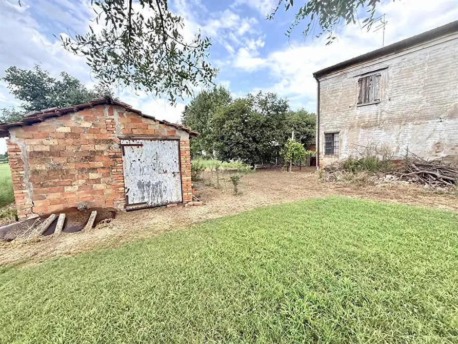 Immagine 3 di Casa semindipendente in vendita  in via borgo palazzi 12 a Argenta