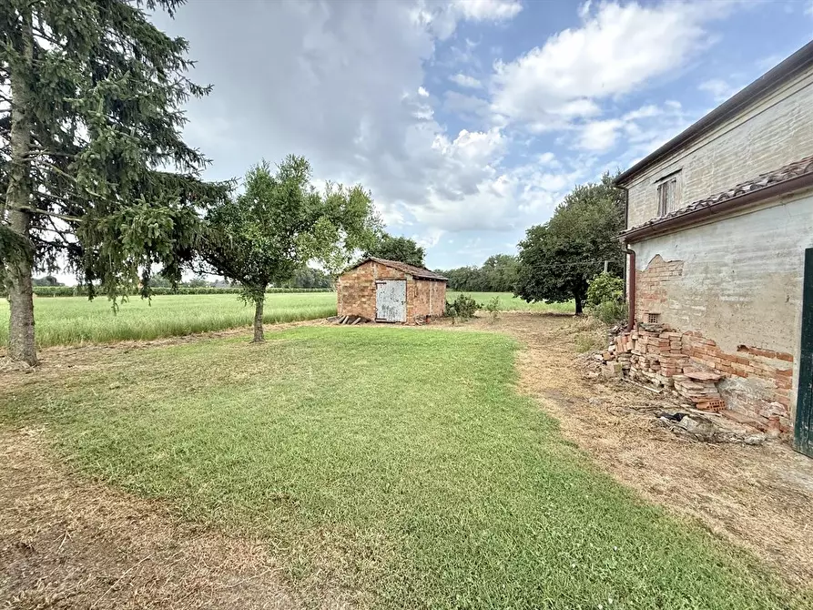 Immagine 2 di Casa semindipendente in vendita  in via borgo palazzi 12 a Argenta