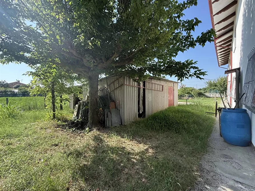 Immagine 2 di Casa bifamiliare in vendita  in via Basilica 91 a Ravenna