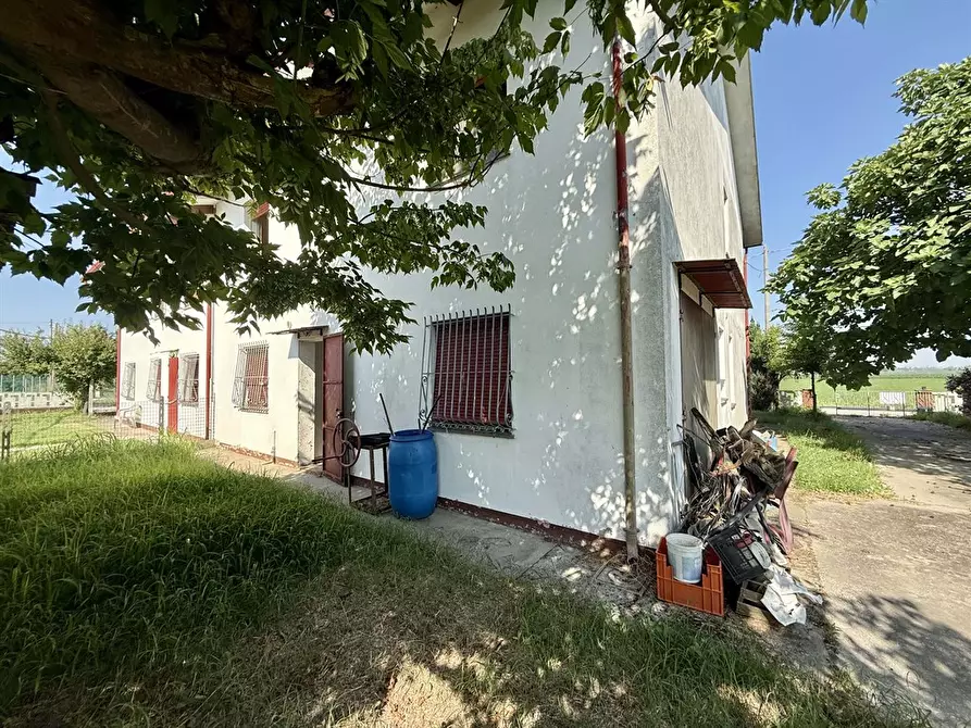 Immagine 1 di Casa bifamiliare in vendita  in via Basilica 91 a Ravenna