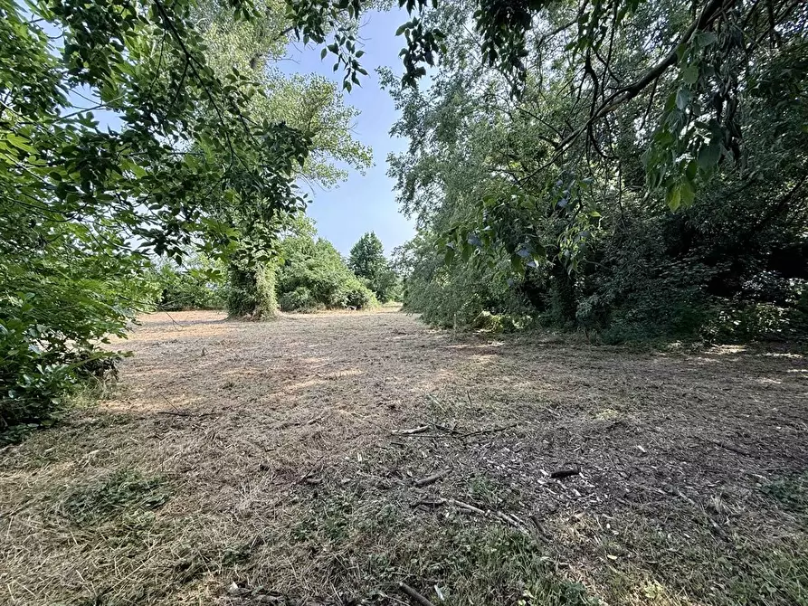 Immagine 1 di Casa bifamiliare in vendita  in via Reale 305 a Alfonsine