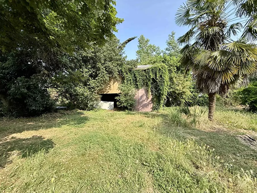 Immagine 2 di Casa bifamiliare in vendita  in via Reale 305 a Alfonsine