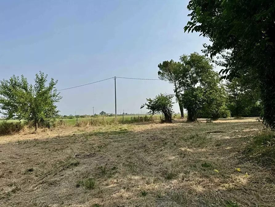 Immagine 4 di Casa bifamiliare in vendita  in via Reale 305 a Alfonsine