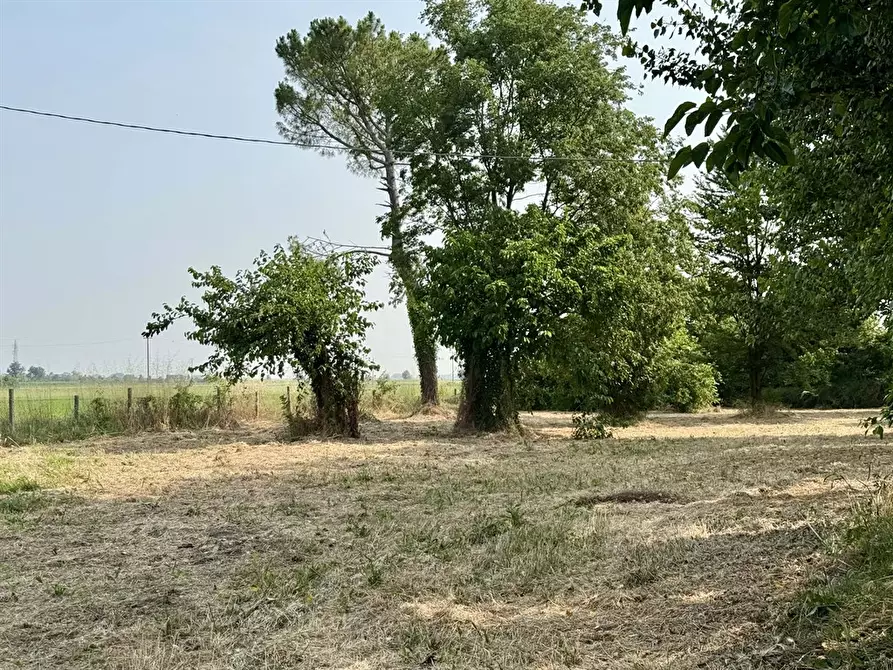 Immagine 5 di Casa bifamiliare in vendita  in via Reale 305 a Alfonsine