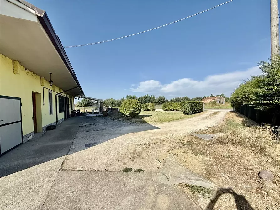 Immagine 5 di Casa bifamiliare in vendita  in via passetto 106 a Alfonsine