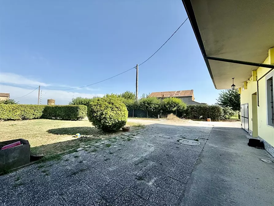 Immagine 4 di Casa bifamiliare in vendita  in via passetto 106 a Alfonsine