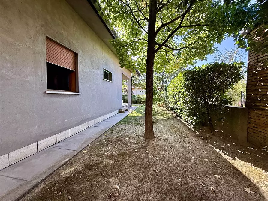 Immagine 2 di Casa indipendente in vendita  in via borse 104 a Alfonsine