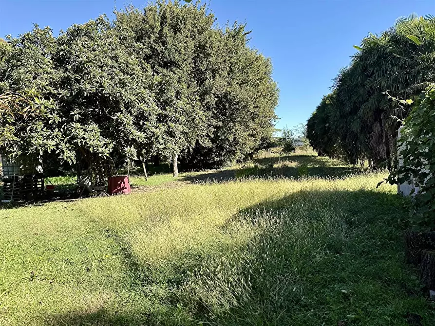 Immagine 3 di Appartamento in vendita  in via roma 57 a Alfonsine