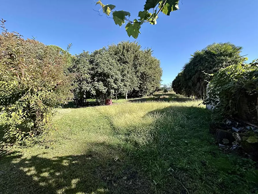 Immagine 2 di Appartamento in vendita  in via roma 57 a Alfonsine