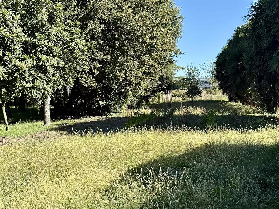 Immagine 4 di Appartamento in vendita  in via roma 57 a Alfonsine