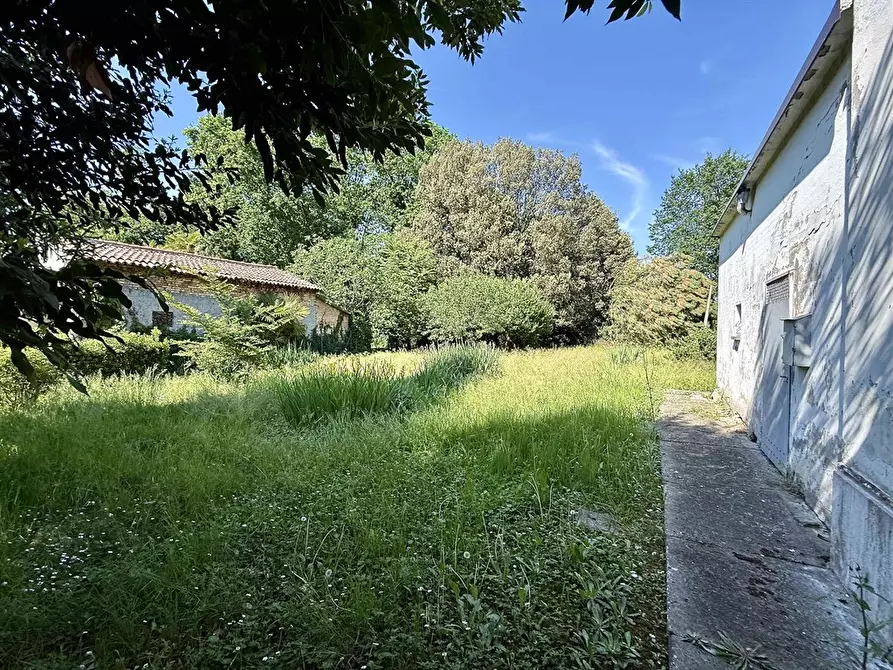 Immagine 4 di Casa indipendente in vendita  in via Roma 55 a Alfonsine