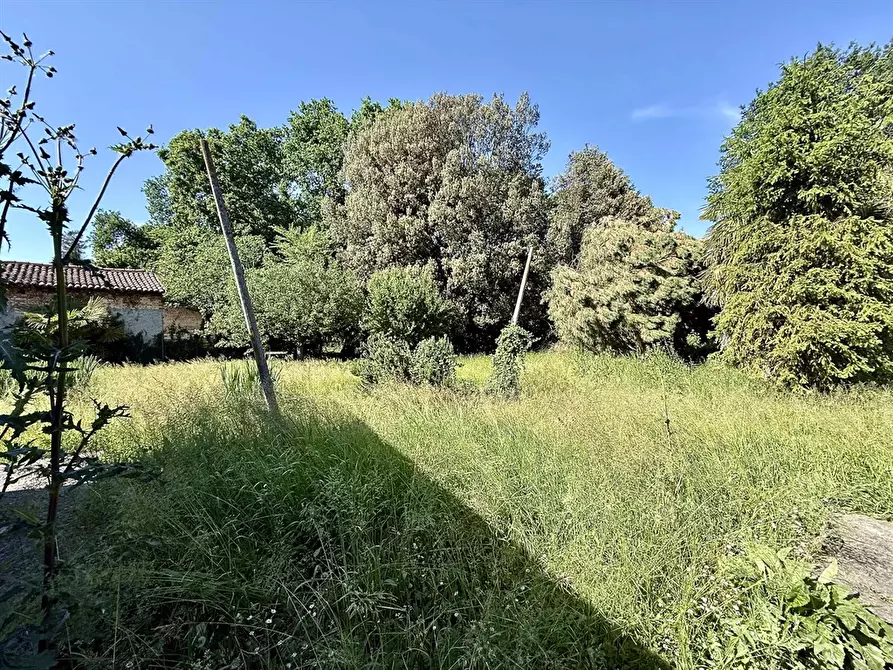 Immagine 5 di Casa indipendente in vendita  in via Roma 55 a Alfonsine