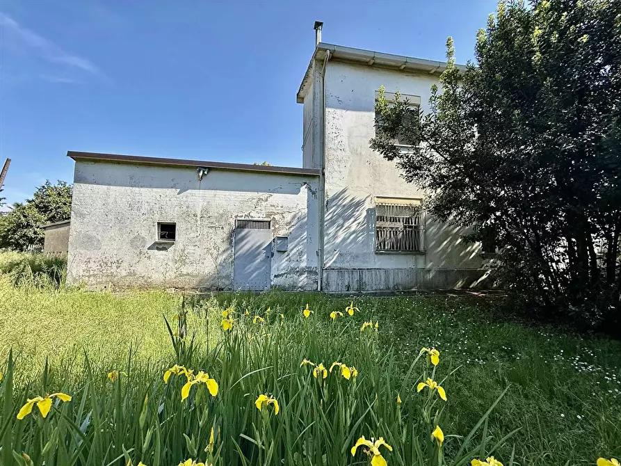 Immagine 3 di Casa indipendente in vendita  in via Roma 55 a Alfonsine