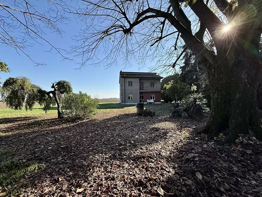Immagine 1 di Casa indipendente in vendita  in via fiumazzo 364 a Lugo