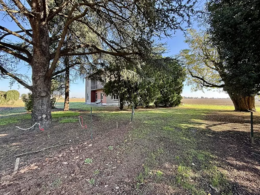 Immagine 3 di Casa indipendente in vendita  in via fiumazzo 364 a Lugo