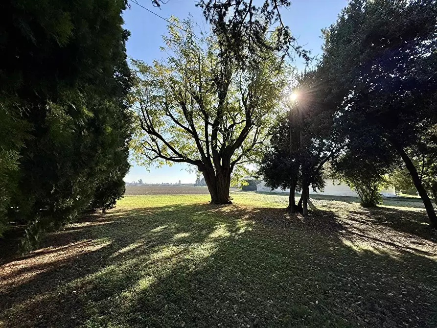 Immagine 4 di Casa indipendente in vendita  in via fiumazzo 364 a Lugo