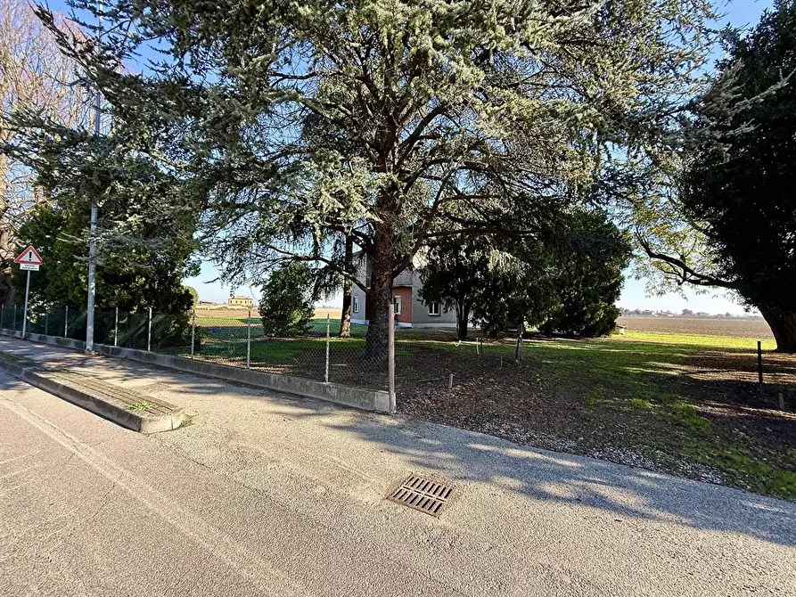 Immagine 6 di Casa indipendente in vendita  in via fiumazzo 364 a Lugo