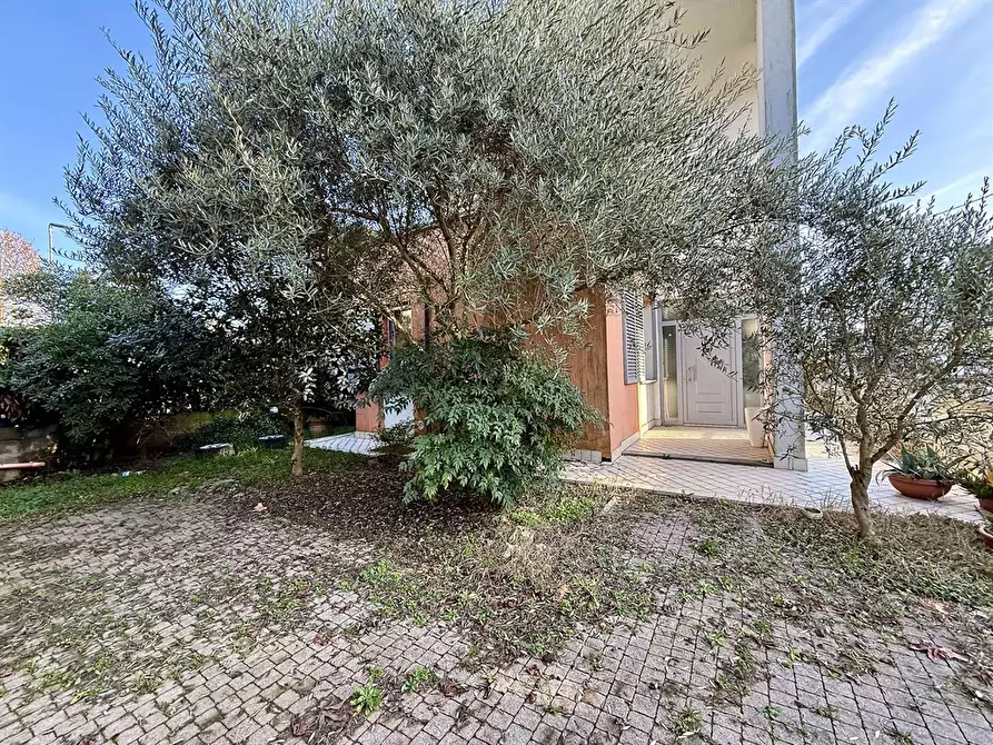 Immagine 5 di Casa indipendente in vendita  in via bassa 130 a Alfonsine