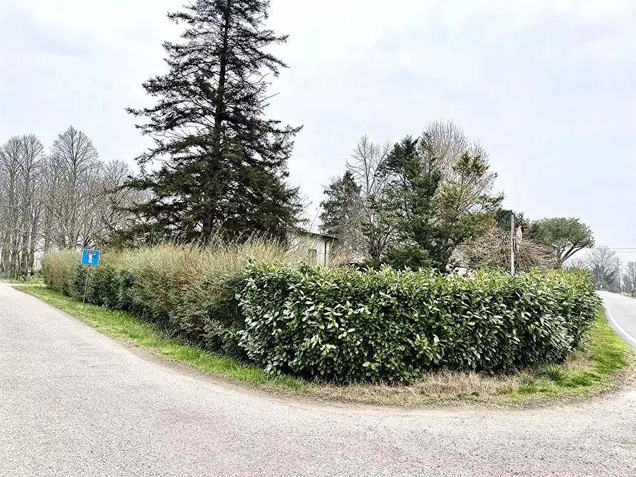 Immagine 7 di Casa indipendente in vendita  in via destra senio 19 a Alfonsine