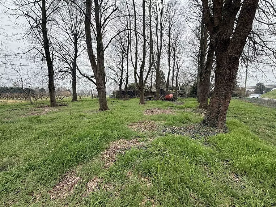 Immagine 4 di Casa indipendente in vendita  in via destra senio 19 a Alfonsine