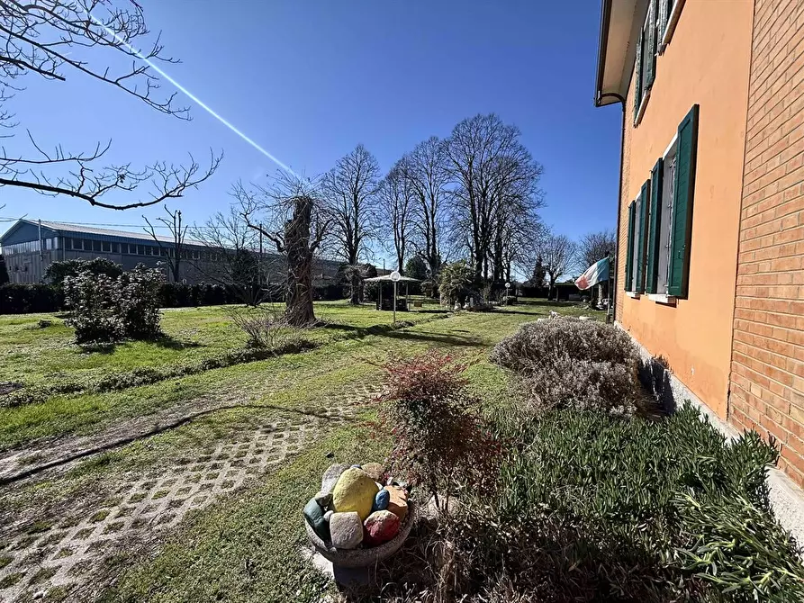 Immagine 6 di Casa indipendente in vendita  in via lodigiana 1 a Argenta