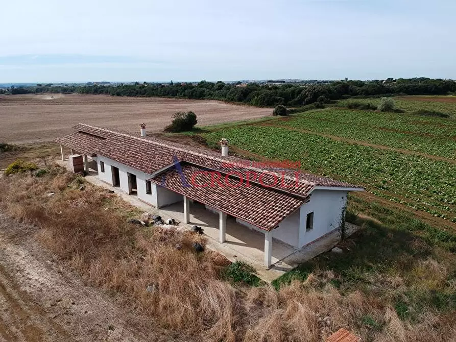 Immagine 5 di Villa in vendita  a Anguillara Sabazia