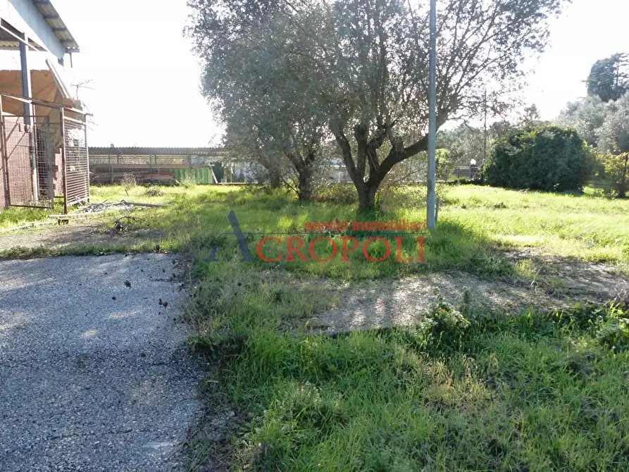 ufficio in vendita ad Anguillara Sabazia