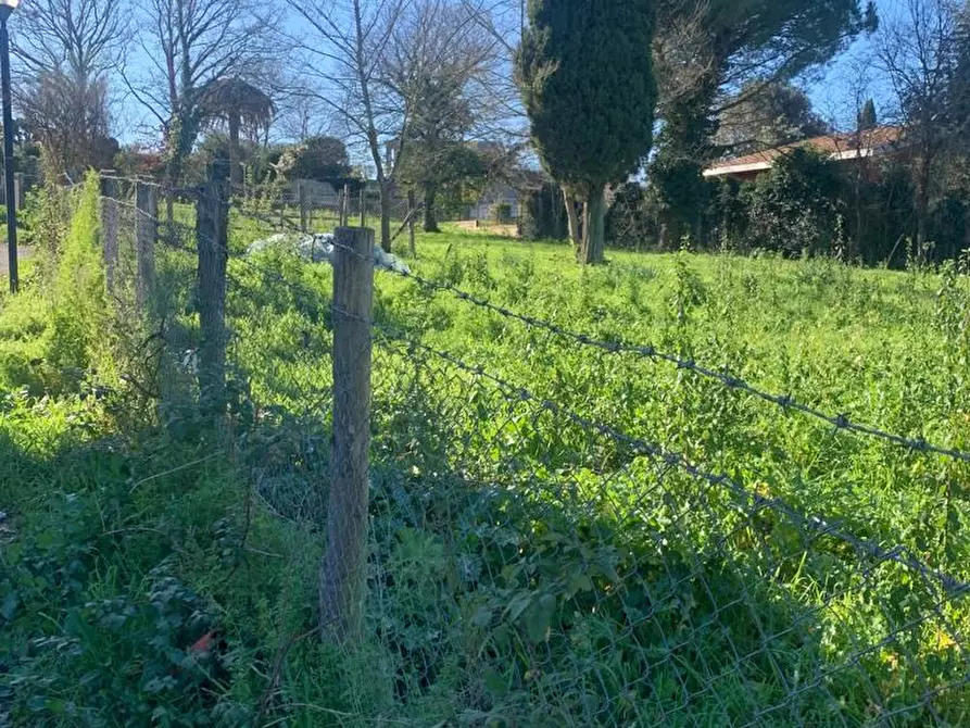 Immagine 4 di Terreno edificabile in vendita  a Bracciano