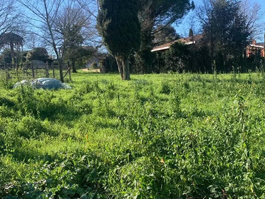 Immagine 3 di Terreno edificabile in vendita  a Bracciano