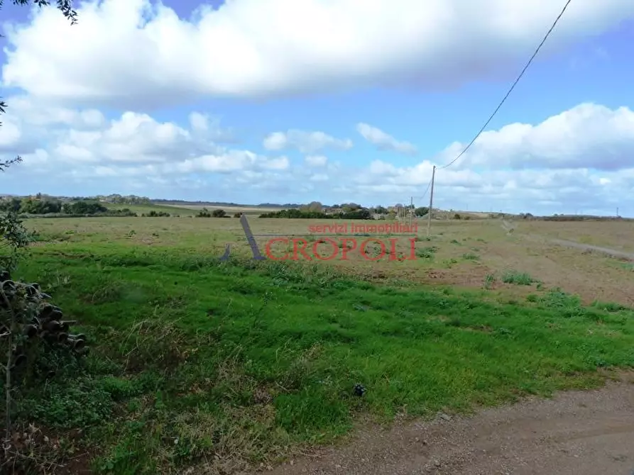 Immagine 3 di Rustico / casale in vendita  in Via Casale di Spanora a Anguillara Sabazia