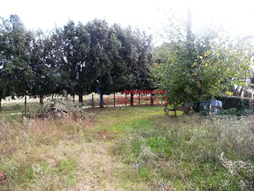 Immagine 5 di Rustico / casale in vendita  in Via Casale di Spanora a Anguillara Sabazia