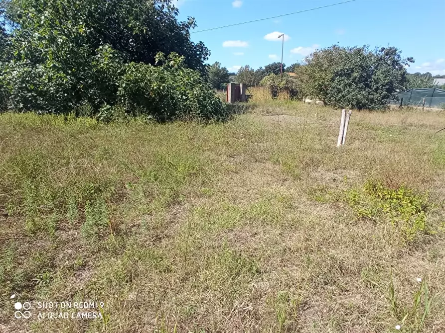 Immagine 6 di Terreno edificabile in vendita  a Bracciano