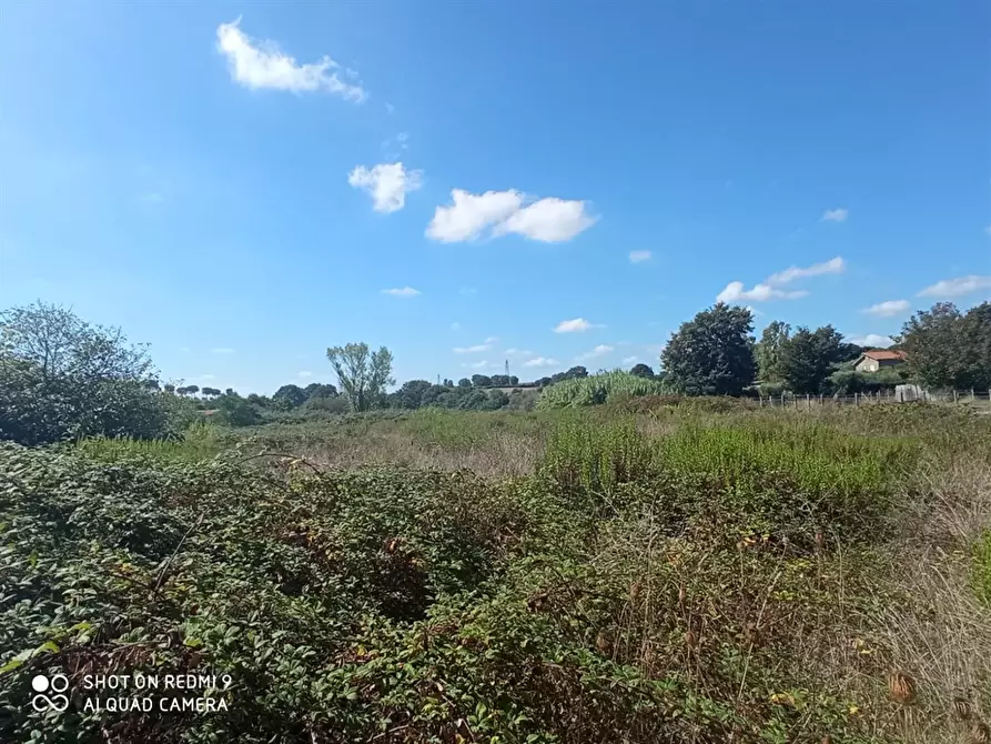 Immagine 3 di Terreno edificabile in vendita  a Bracciano