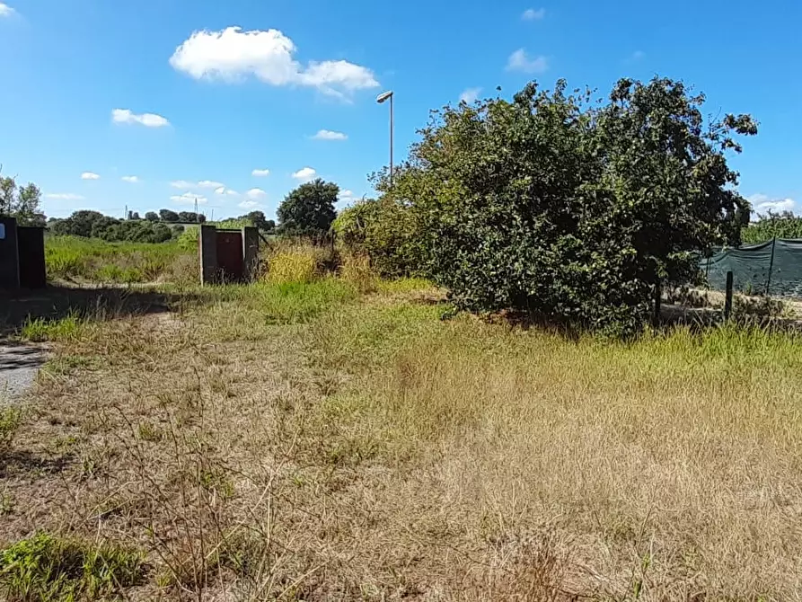 ufficio in vendita a Bracciano