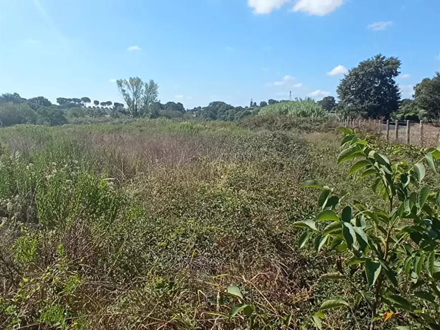 Immagine 5 di Terreno edificabile in vendita  a Bracciano