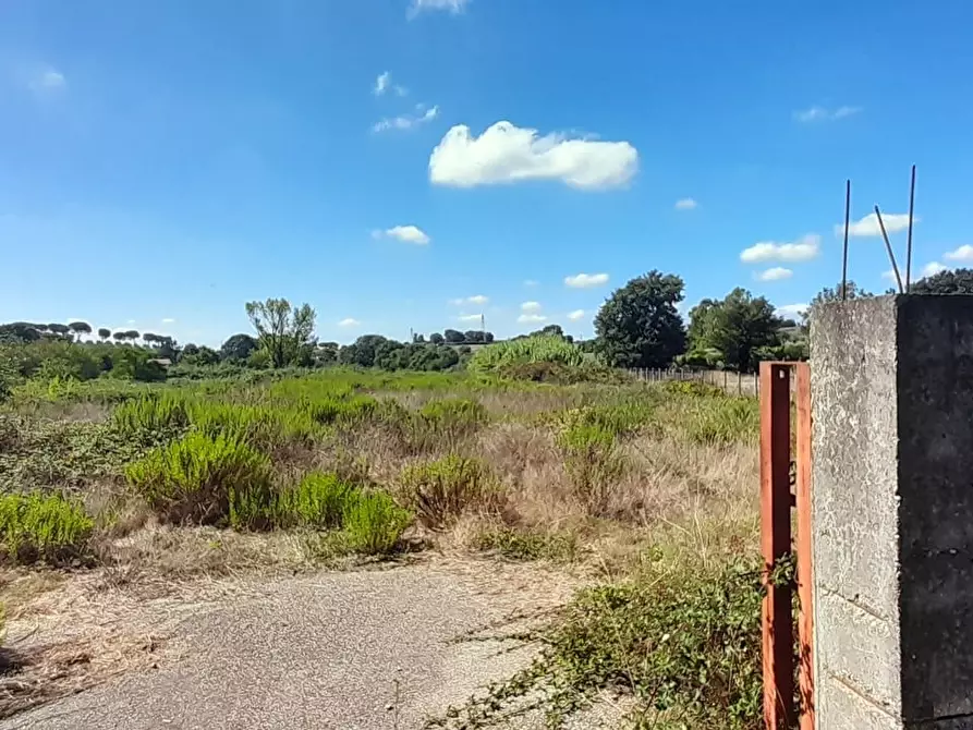 Immagine 9 di Terreno edificabile in vendita  a Bracciano