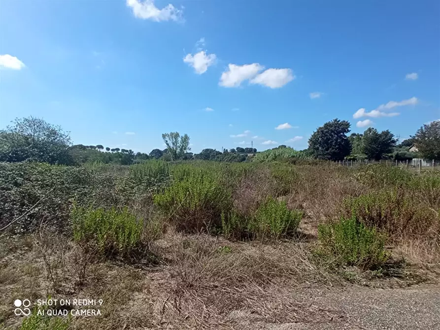 Immagine 8 di Terreno edificabile in vendita  a Bracciano