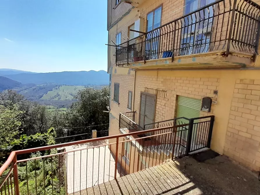 Immagine 3 di Appartamento in vendita  a Tolfa