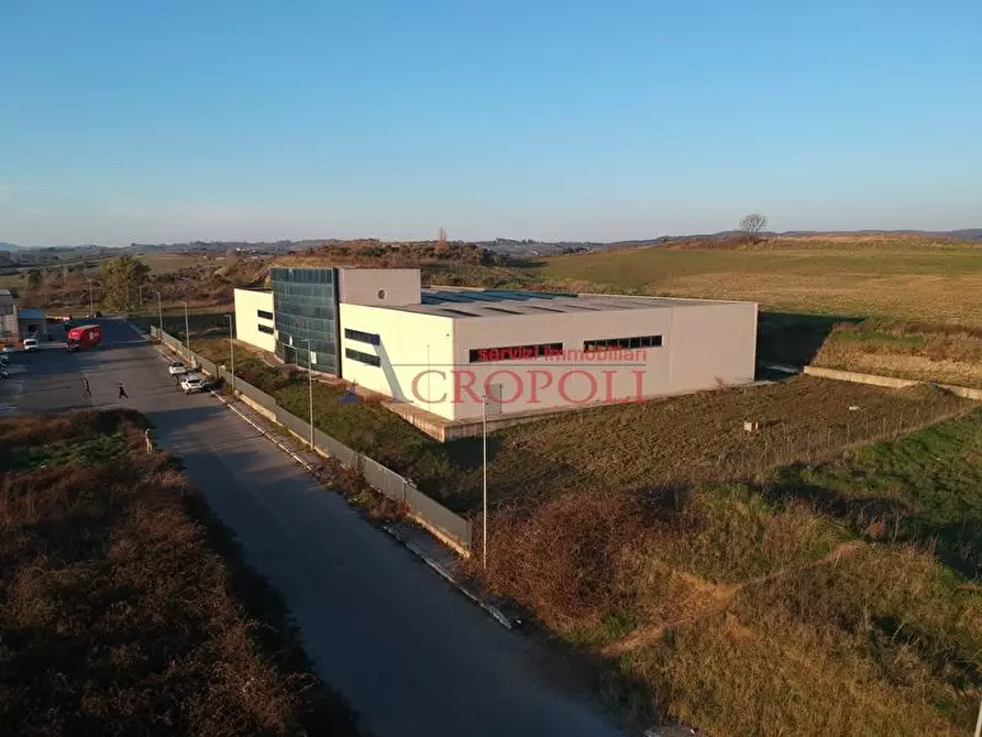 Immagine 2 di Capannone industriale in vendita  a Anguillara Sabazia