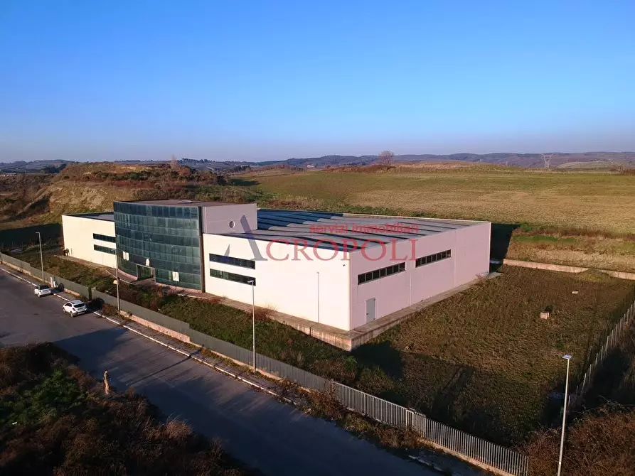 Immagine 1 di Capannone industriale in vendita  a Anguillara Sabazia