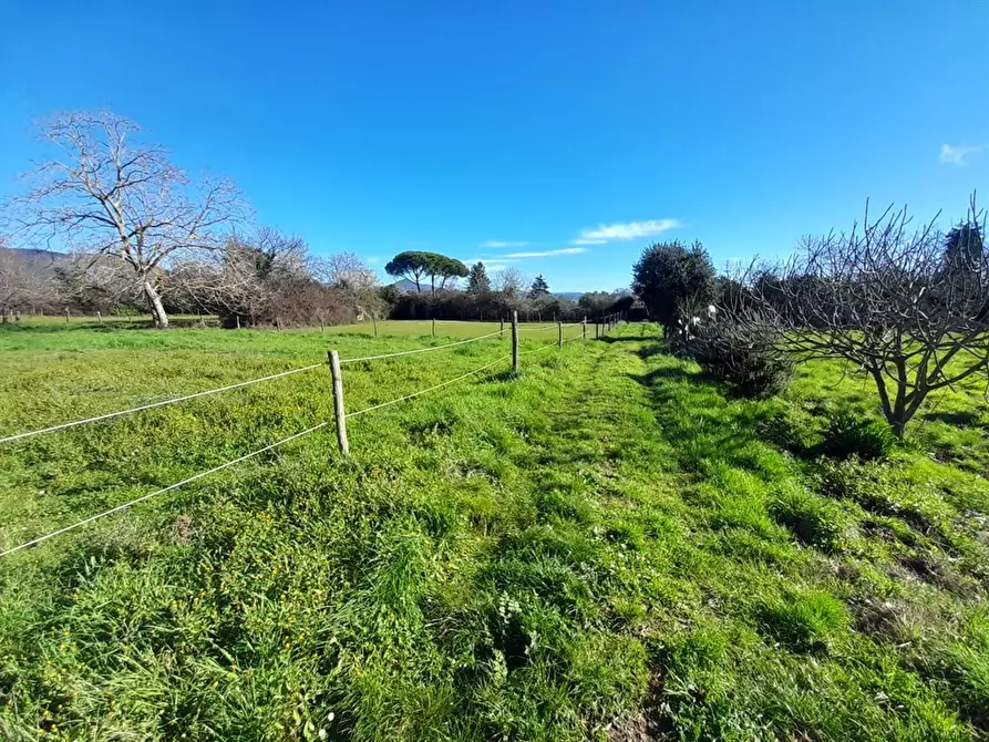 Immagine 7 di Villa in vendita  a Bracciano